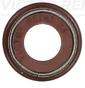 Seal Ring, valve stem